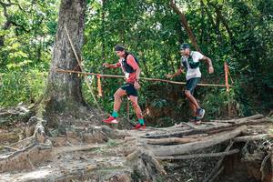 BIB: 
                            <button type="button" onclick="openModal(27801735)" class="btn btn-primary btn-sm float-right btn-popup" data-toggle="modal" data-target=".modal-high-quality">
                        <i class="fas fa-shopping-cart"></i> Add to Cart
                    </button>
                                            <button type="button" onclick="isThisMe(27801735, true)" class="btn btn-success btn-sm float-right btn-popup btn-isme hidden" data-toggle="tooltip" data-placement="bottom" title="นี่คือรูปของคุณใช่ไหม คลิกที่นี่เพื่อเอาเข้าอัลบั้ม">
                        <i class="fas fa-plus"></i> Add to album
                    </button>
                    <button type="button" onclick="isThisMe(27801735, false)" class="btn btn-warning btn-sm float-right btn-popup btn-isnotme hidden">
                        <i class="fas fa-ban"></i> Remove from album
                    </button>